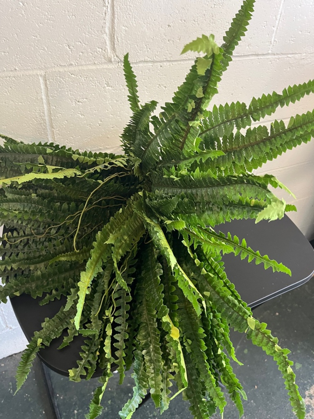 Artificial Boston Fern Plant- NWOT
